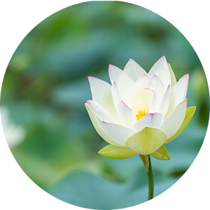 合同供養(遺品整理の場合)