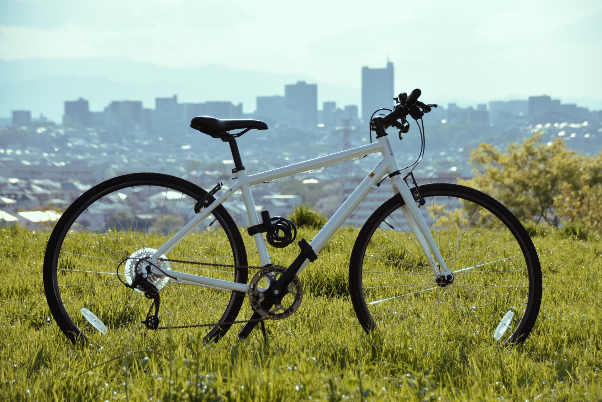 自転車の処分方法|費用相場・防犯登録の抹消手続き・引き取り方法まで解説