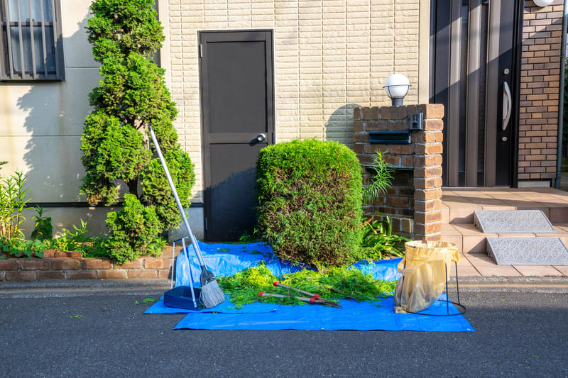 植木・植物の処分を検討しているなら