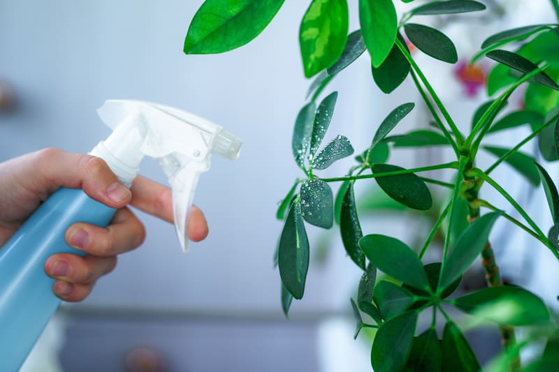 植木・植物の処分方法5選