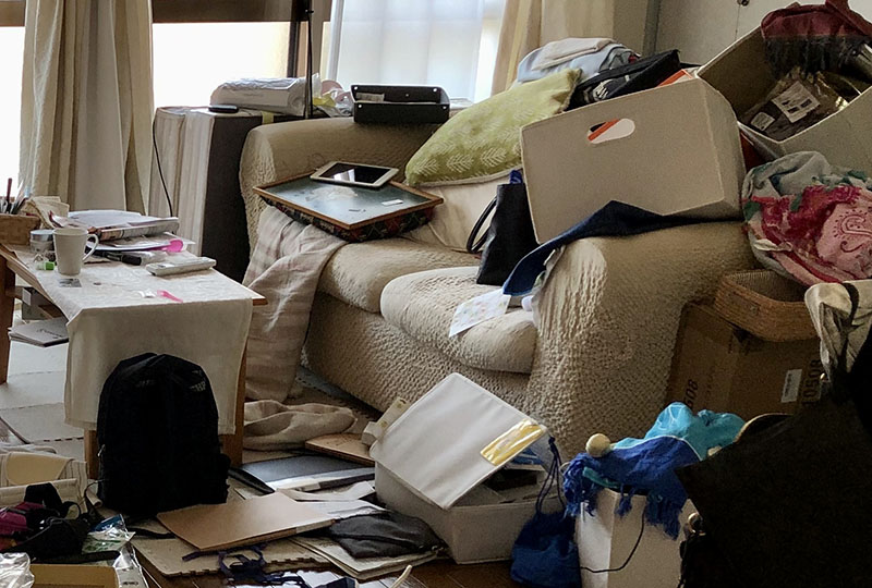 ゴミ屋敷に虫が大量発生する原因
