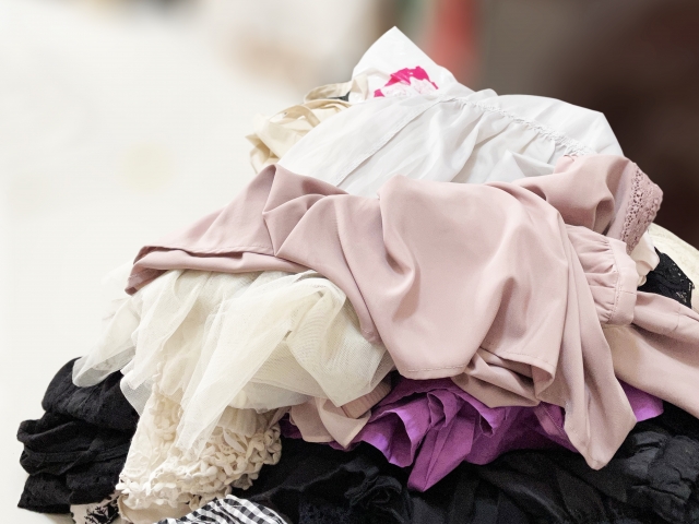 女性のゴミ屋敷片付けが進まない理由